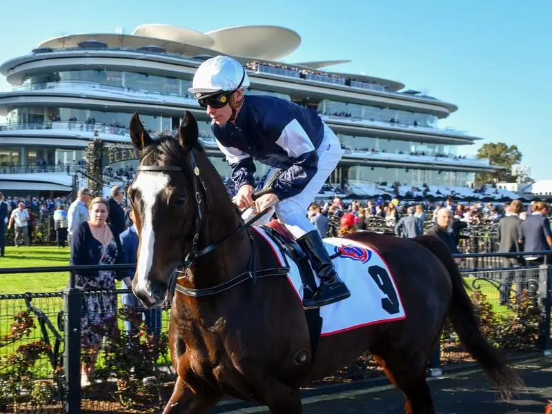 Yucatan could be heading south for another Melbourne carnival