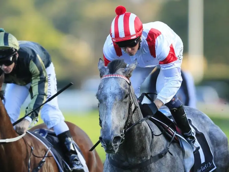 Classique Legend wins the Listed Bob Charley AO Stakes at Randwick.