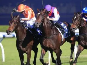 Exhibition adds to the Freedmans’ 2YO haul Exhibition