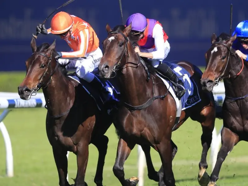 Exhibition (centre) wins at Randwick.