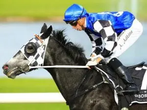 Lees, Waller out in force for McKell Cup Attention Run