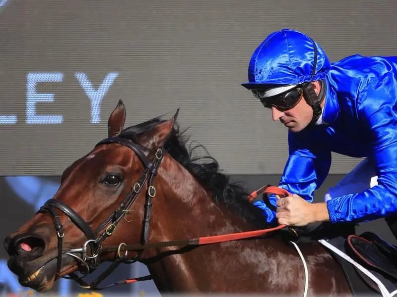 Viridine wins the Winter Dash at Randwick.