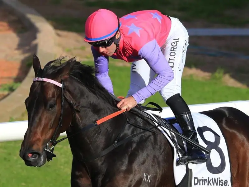 Trumbull wins the Listed Civic Stakes at Rosehill.