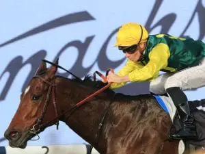 Widdup has spring in his step with Adelong Adelong