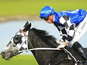 Attention Run earns shot at winter Cups Attention Run