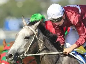 Lady Banff makes winning Rosehill return Lady Banff
