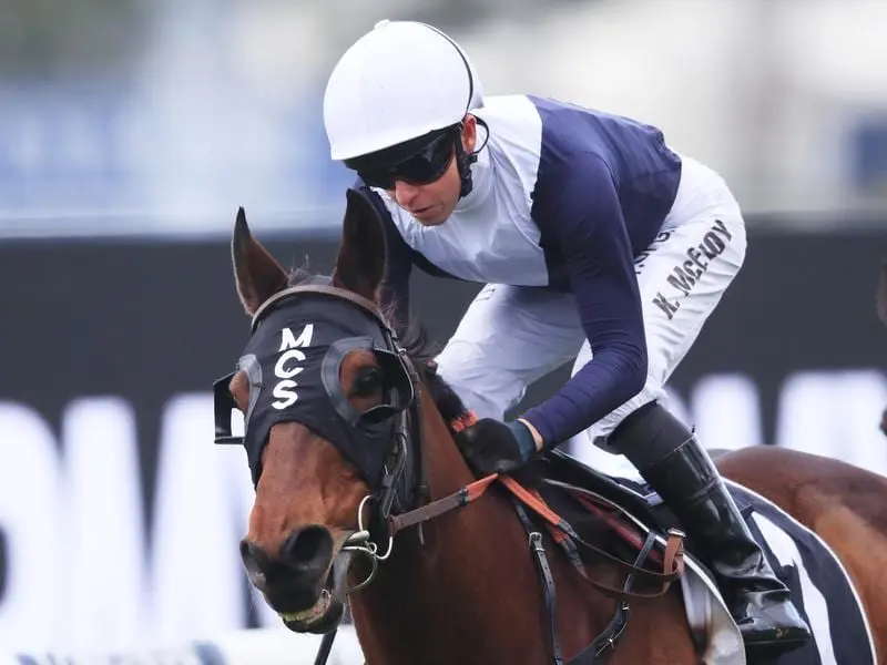 Sweet Thomas wins the Stayers' Cup at Rosehill.