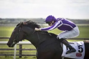 Ten Sovereigns