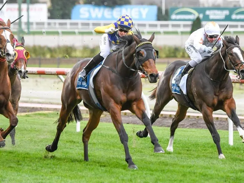 Ashor (middle) wins at The Valley.