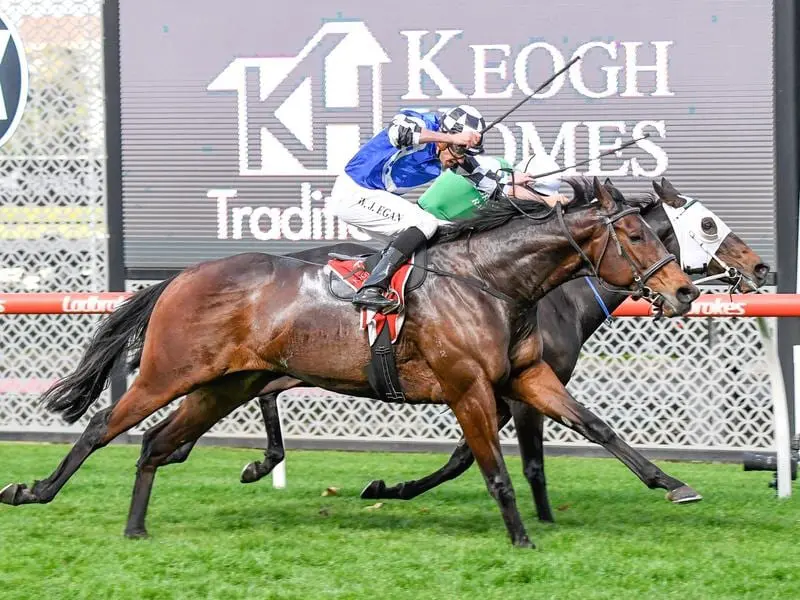 Plein Ciel (outside) and Shot Of Irish dead-heat at The Valley.