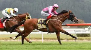WYNDSPELLE - CAPTAIN COOK STAKES - PHOTO RACE IMAGES (1) Wyndspelle