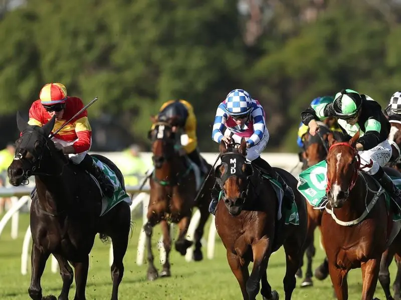 Stockman (right) wins the TAB Handicap at Warwick Farm.