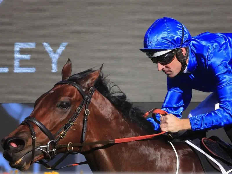 Viridine wins the Winter Dash at Randwick.