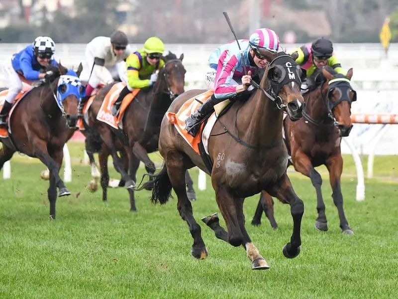 Progressive stayer High Emocean wins at Caulfield