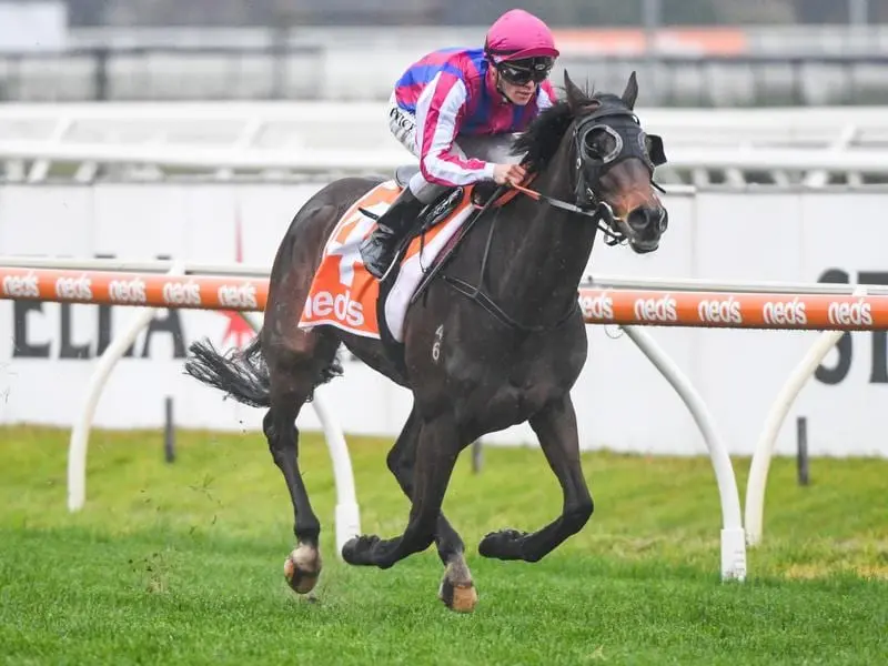 Lord Bouzeron wins at Caulfield.