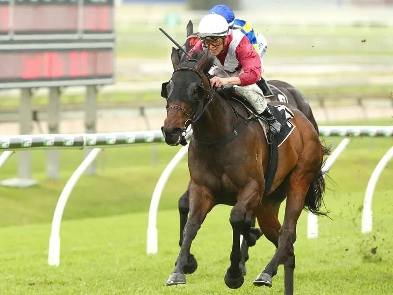 Mr Bellagio returns to racing at Eagle Farm