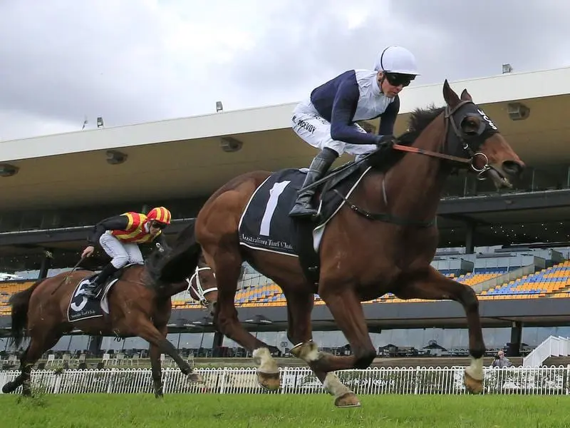 Sweet Thomas targets the Flemington Cup 1849