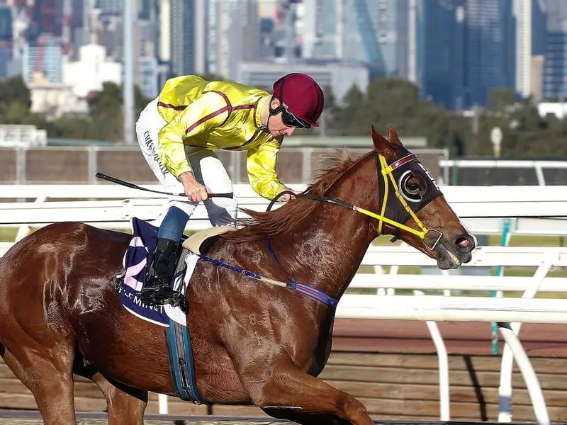 Malibu Style wins the 2019 All Victorian Sprint Series Final.