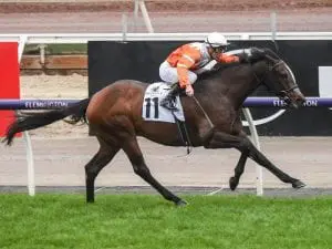 Sircconi wins Winter Championship Final Sircconi