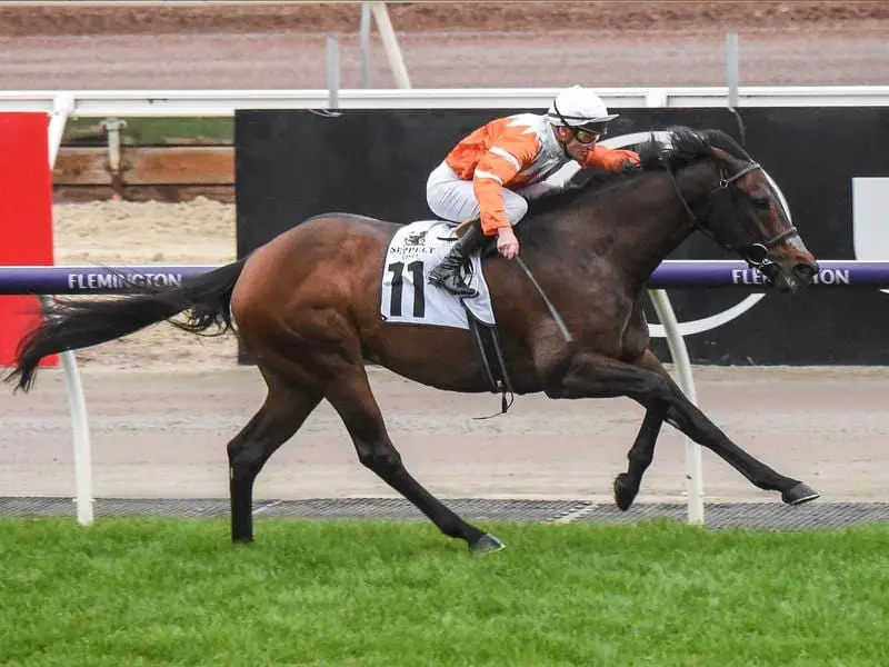 Sircconi wins the Winter Championship Series Final at Flemington.