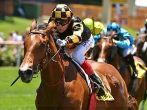 Melbourne Group 1 races on radar for Behemoth Behemoth