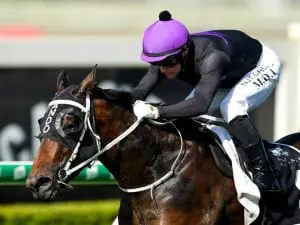 Ramornie Handicap jockey wait for Boomtown Lass Boomtown Lass