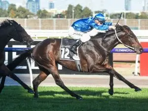 Oceanex starts build-up to Melbourne Cup Oceanex