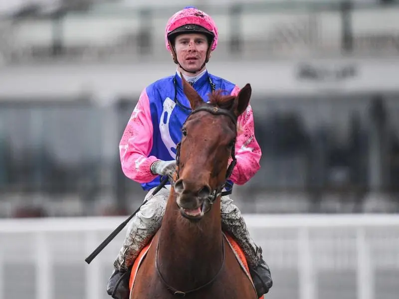 Jye McNeil holds a slender lead over Daniel Stackhouse in the Victorian jockeys' premiership. Victorian jockey Jye McNeil