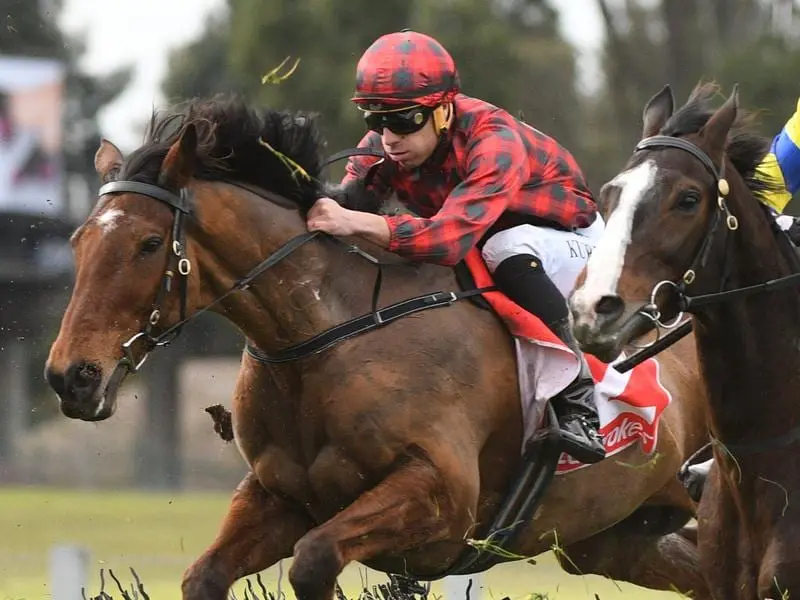 Aaron Karu riding Tallyho Twinkletoe in the 2019 Grand National Hurdle