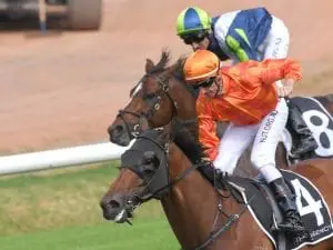 Winx Stakes first-up target for Dreamforce Dreamforce