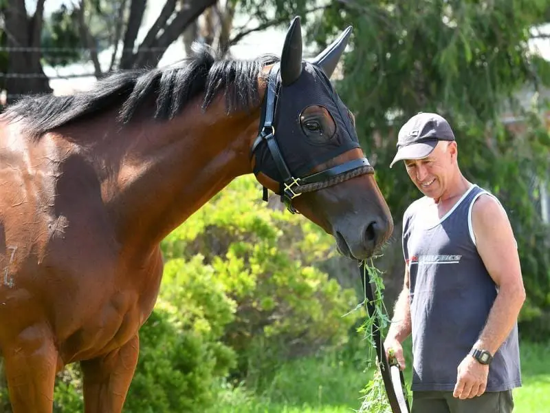 New Zealand mare Melody Belle