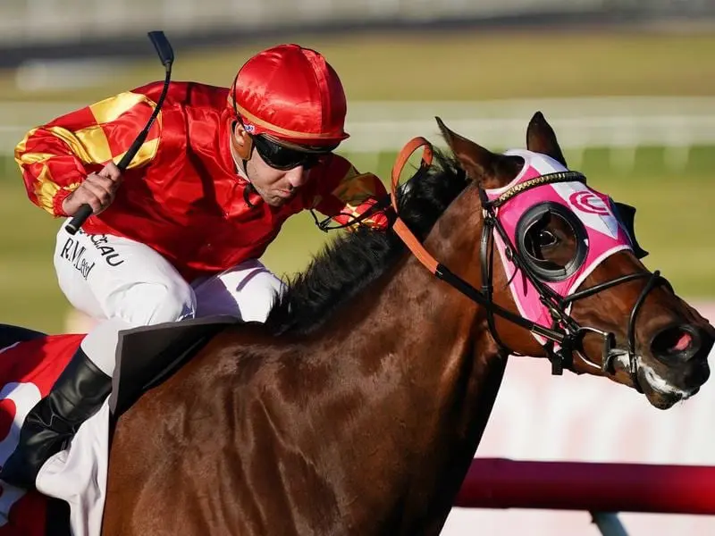 Whip rules in racing New guidelines for whip use