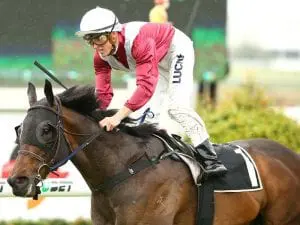Mr Bellagio fresh for first stakes win Mr Bellagio