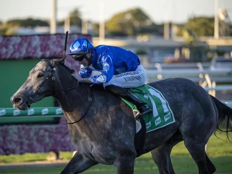 In-form mare Jami Lady has drawn an ideal barrier in the Listed Gai Waterhouse Classic at Ipswich. Jami Lady will contest the Gai Waterhouse Classic.