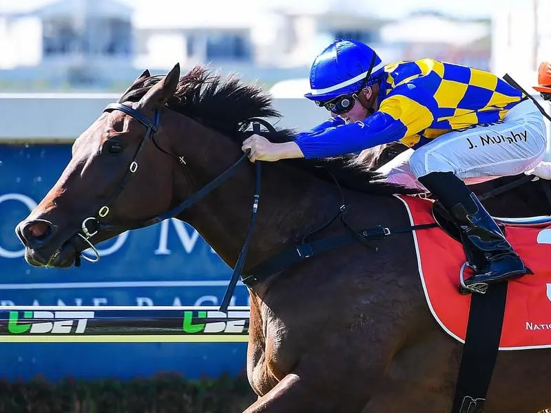 Tarzan will contest the Eye Liner Stakes at Ipswich.