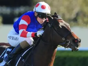 O’Hara on the mark back in the big smoke Spaceboy