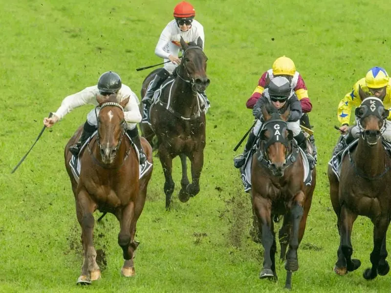 Noble Boy (left) takes out the Listed Winter Stakes.