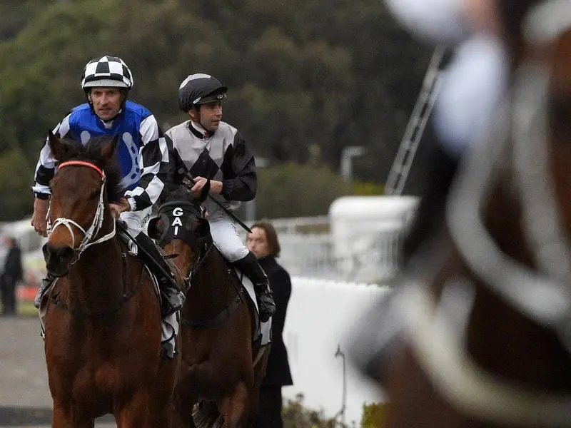 Hugh Bowman guides Mugatoo to victory at Rosehill