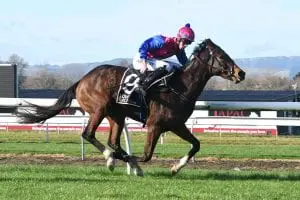 SPEED CALL - MARTON 4-7-2020 - PHOTO RACE IMAGES Speed Call