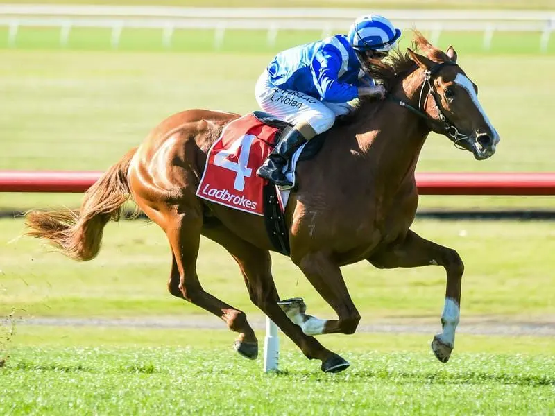 Aysar wins at Sandown