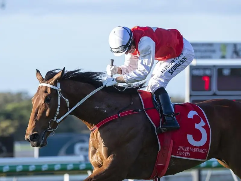 Wapiti wins the Winx Guineas.