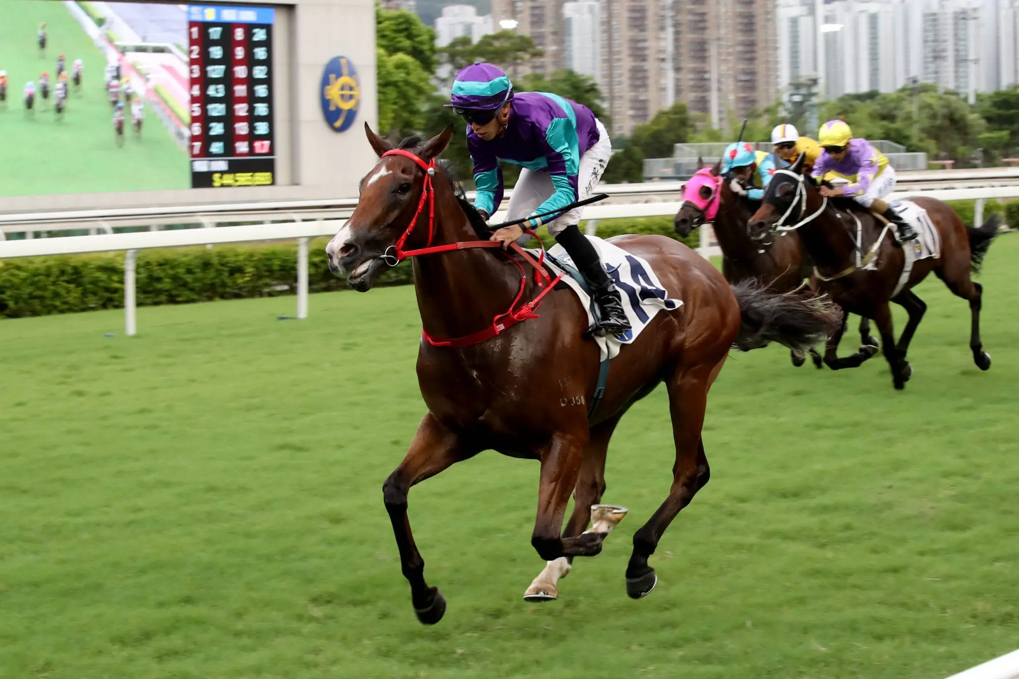 Winning Dreamer