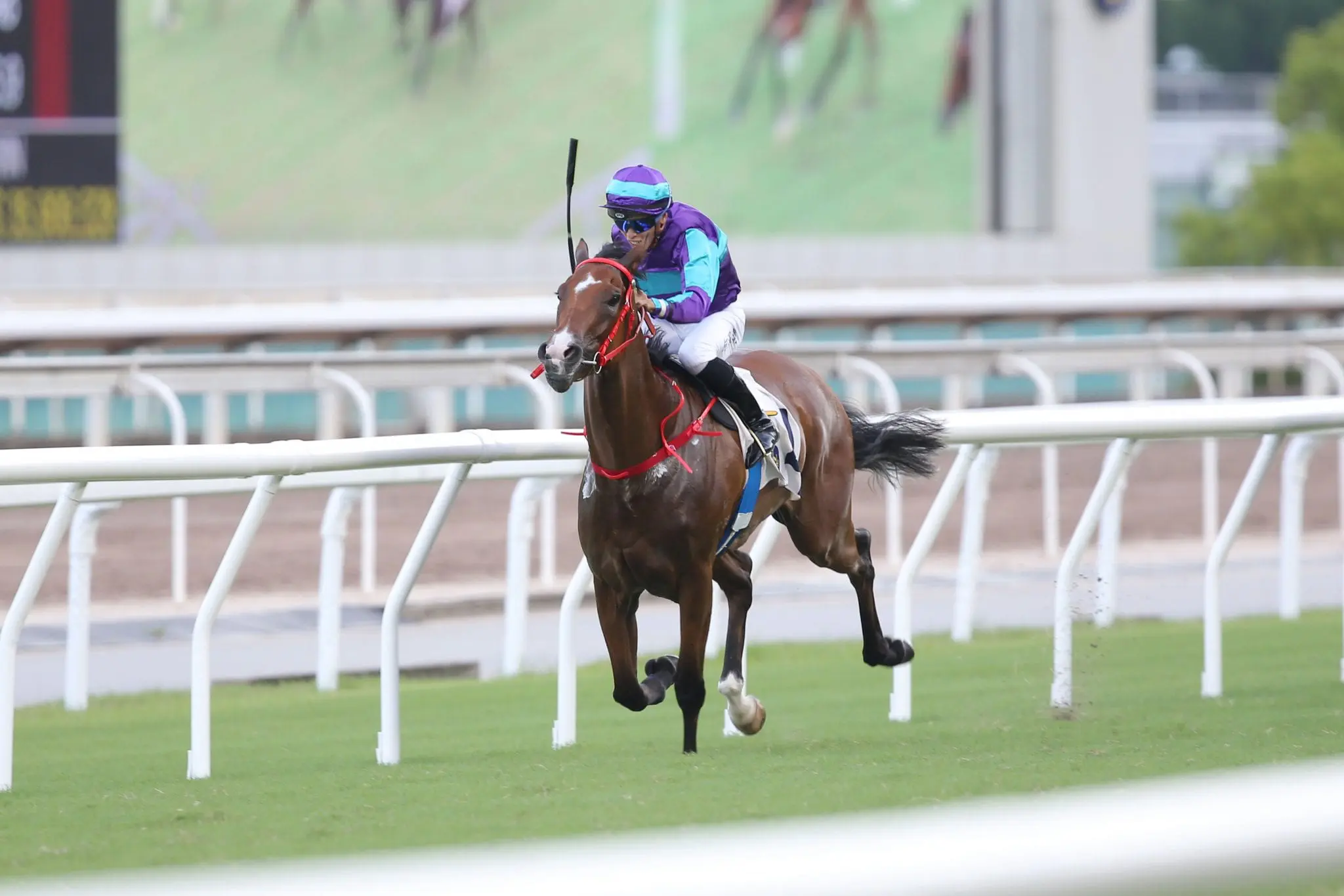 Winning Dreamer