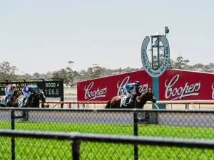 Gawler horse racing