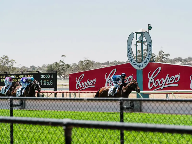 Gawler horse racing