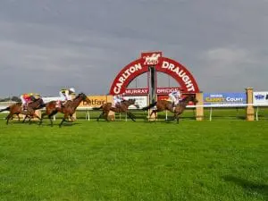 Murray Bridge racecourse