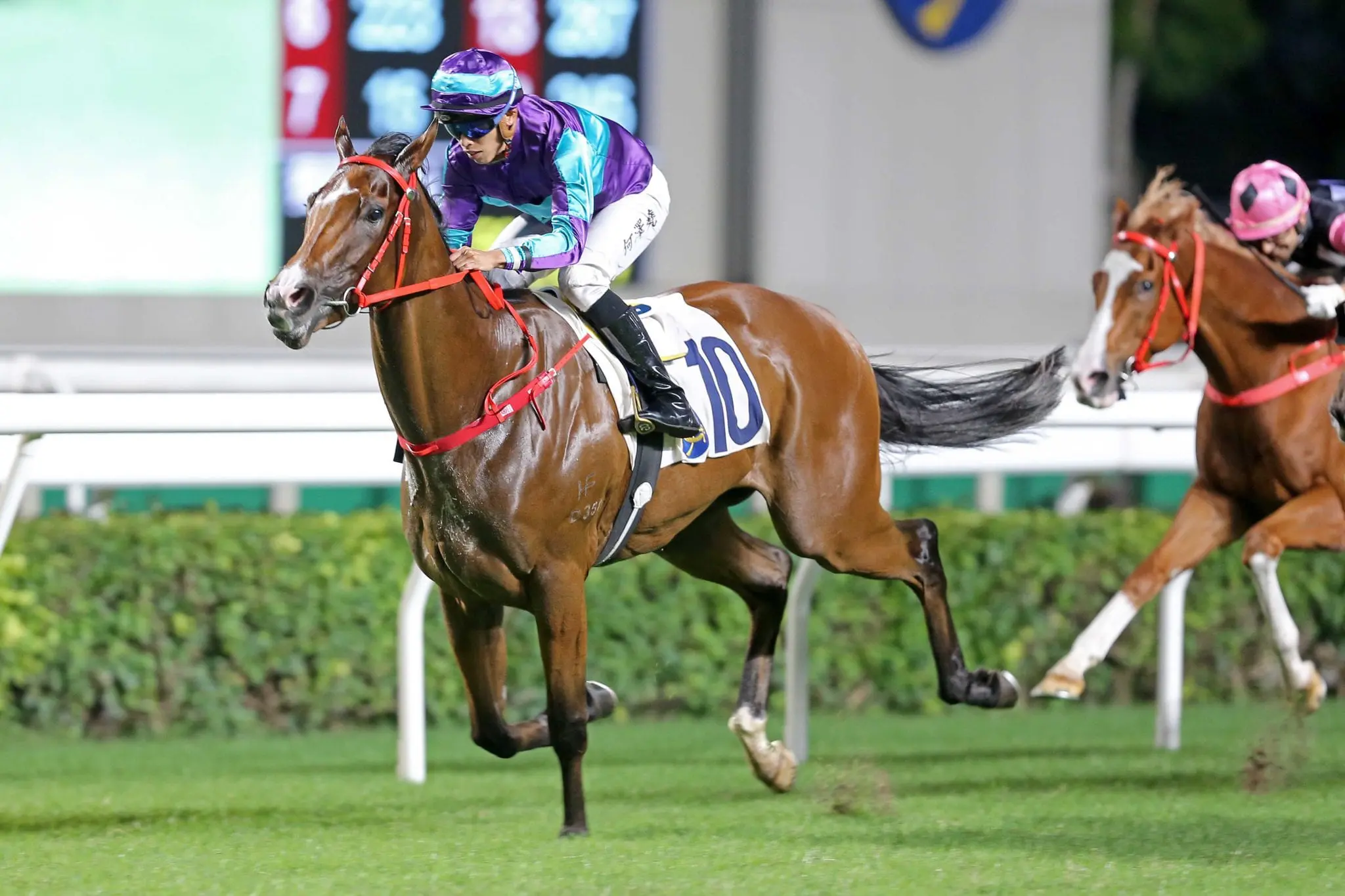 Winning Dreamer