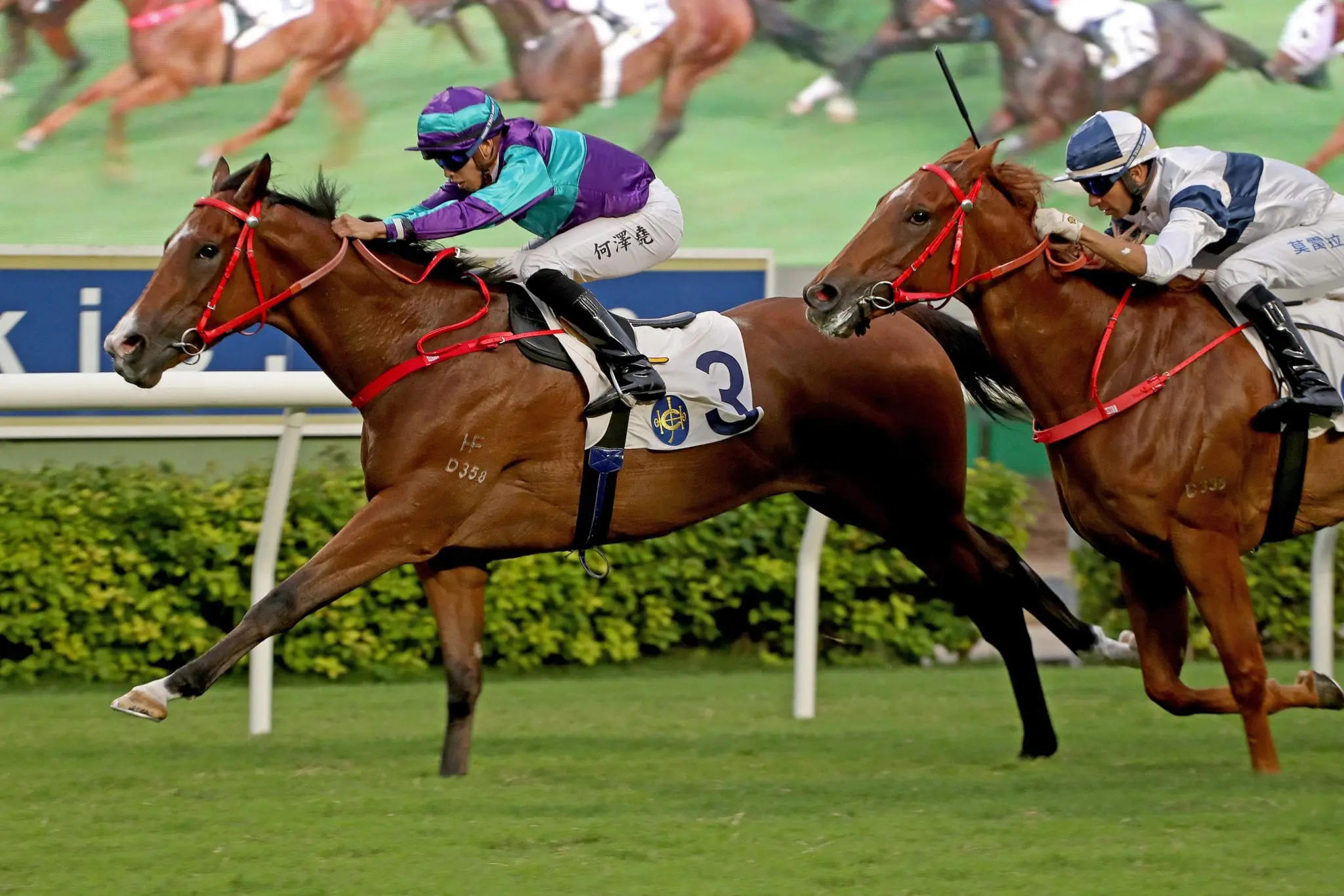 Winning Dreamer