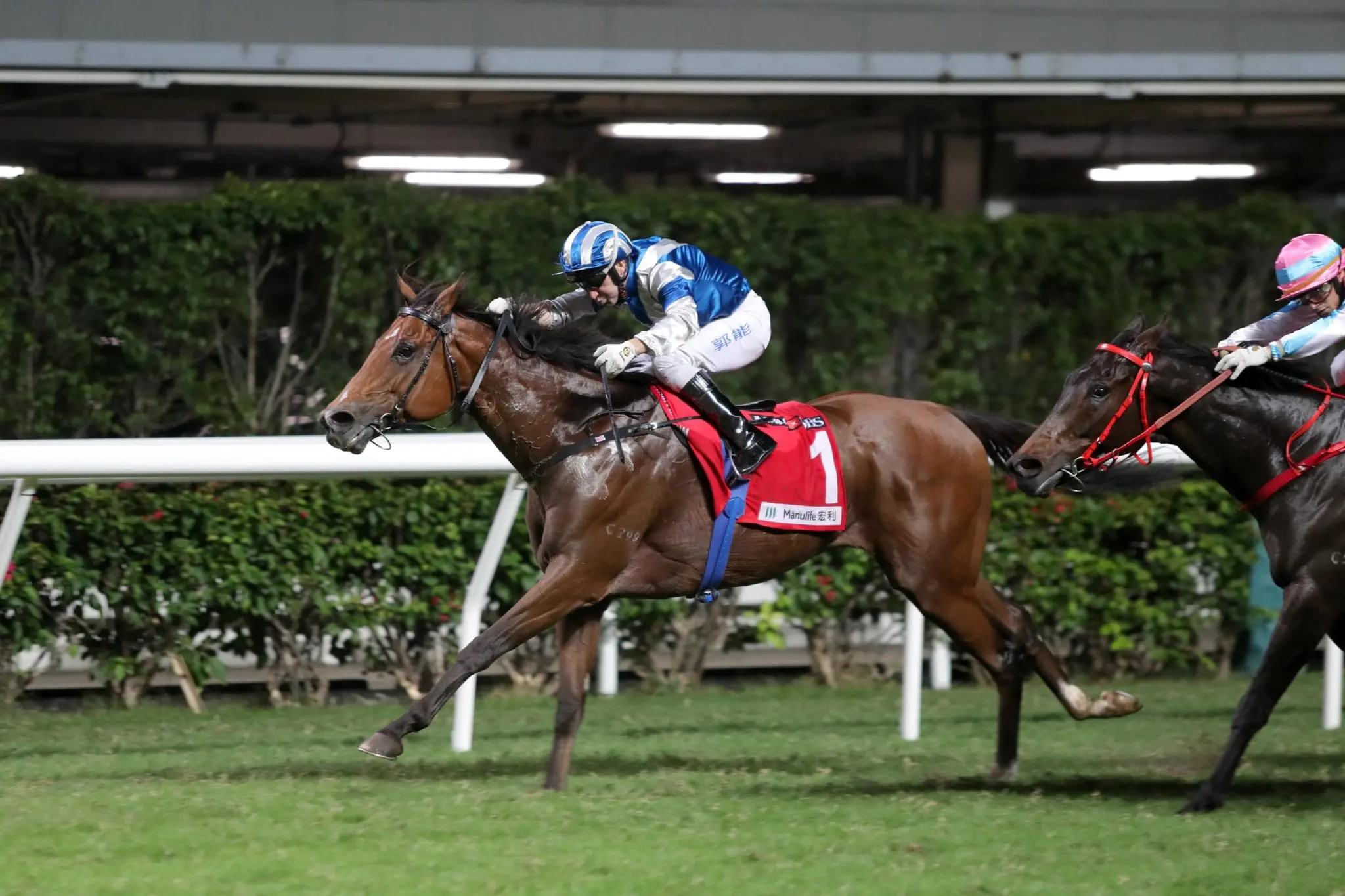 Lobo’s Legend