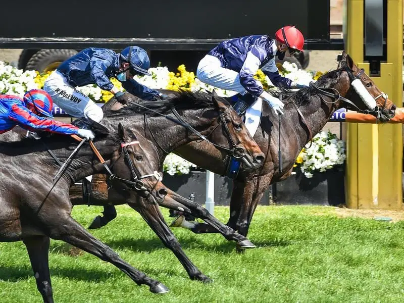 Twilight Payment wins Melbourne Cup